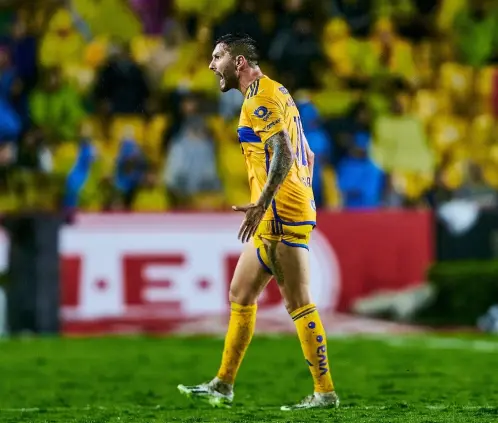 Los Tigres cerraron el Apertura 2023 siendo el único equipo invicto como local.