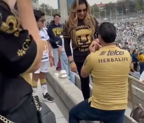 Una pareja de fans de Pumas se comprometió en pleno juego de la jornada 1. Una pareja de fans de Pumas se comprometió en pleno juego de la jornada 1.