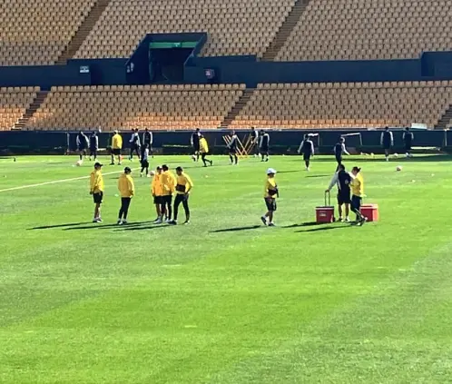 Los defensas felinos fueron descartados para el juego ante Vancouver al no recuperarse a tiempo de sus respectivas lesiones. Los defensas felinos fueron descartados para el juego ante Vancouver al no recuperarse a tiempo de sus respectivas lesiones.