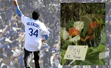 Fans de Fernando Valenzuela se manifiestan en Dodger Stadium para homenajearlo