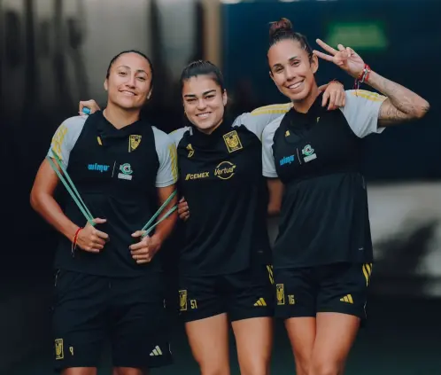 https://x.com/TigresFemenil/ https://x.com/TigresFemenil/