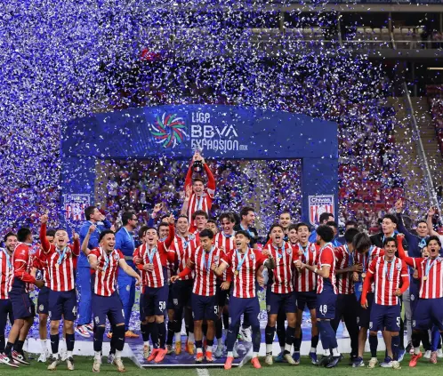 ¡Todos los campeones! Este es el historial de la Liga de Expansión a cinco años de su creación. (TapatioCD X) ¡Todos los campeones! Este es el historial de la Liga de Expansión a cinco años de su creación. (TapatioCD X)