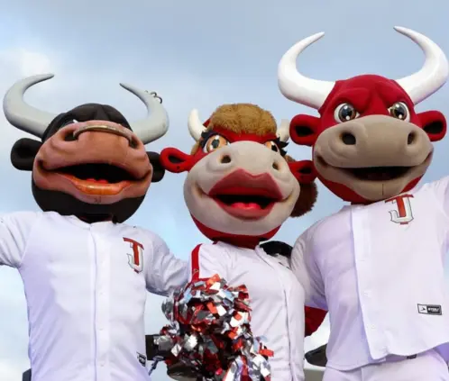 Toros de Tijuana y su día Pet Friendly para los fanáticos (Foto: torosdetijuana (IG)) Toros de Tijuana y su día Pet Friendly para los fanáticos (Foto: torosdetijuana (IG))