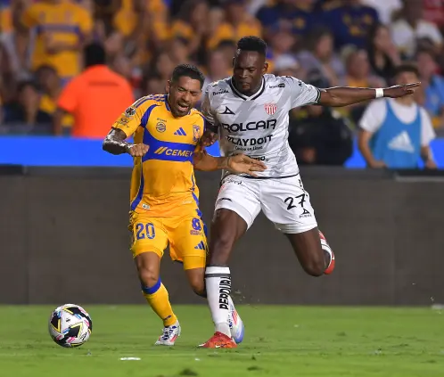Disney Plus dio a conocer que transmitirá el Tigres vs. Necaxa de Cuartos de Final. Getty Images Disney Plus dio a conocer que transmitirá el Tigres vs. Necaxa de Cuartos de Final. Getty Images