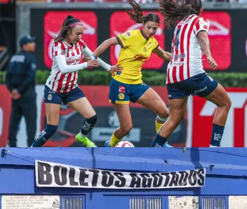 Águilas y Chivas definen al primer finalista del Clausura 2025 (Getty Images) Águilas y Chivas definen al primer finalista del Clausura 2025 (Getty Images)