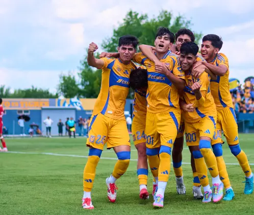 Tigres. Foto Cortesía. Tigres. Foto Cortesía.