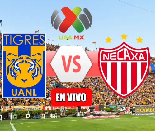 Tigres y Necaxa se juegan sus últimas cartas en el torneo (ESPECIAL) Tigres y Necaxa se juegan sus últimas cartas en el torneo (ESPECIAL)
