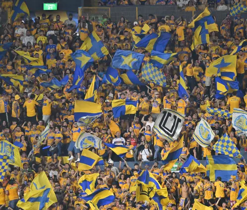 La nueva camisa de entrenamiento de Tigres será un homenaje a la barra Libres y Lokos. Getty Images
