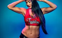 WWE confirma el regreso de Nikki Bella tras el Money in the Bank 2025