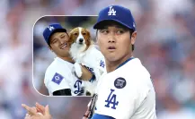 ¿Cómo se llama la mascota de Shohei Ohtani, el lomito que lo sigue por todo el mundo?