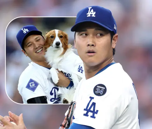 ¿Cómo se llama la mascota de Shohei Ohtani, el lomito que lo sigue por todo el mundo? (Photo by Harry How/Getty Images) ¿Cómo se llama la mascota de Shohei Ohtani, el lomito que lo sigue por todo el mundo? (Photo by Harry How/Getty Images)