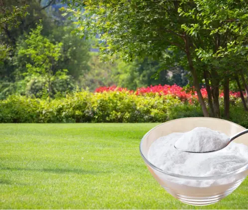El bicarbonato sigue como una solución en los jardines (Especial) El bicarbonato sigue como una solución en los jardines (Especial)