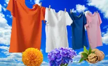 Las plantas nativas de México que tiñen la ropa de forma natural y son lindas en cualquier jardín