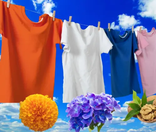 Dale color a tu ropa con estas plantas (Especial) Dale color a tu ropa con estas plantas (Especial)