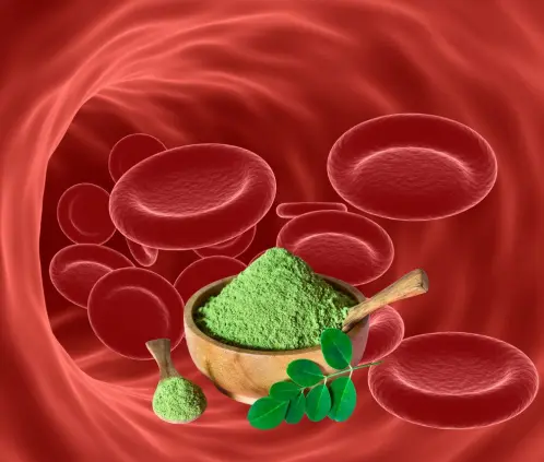 La moringa se puede convertir en un aliado en el tratamiento de diversos tipos de diabetes (Especial) La moringa se puede convertir en un aliado en el tratamiento de diversos tipos de diabetes (Especial)