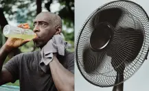 Profeco: El poderoso ventilador de bajo costo que pocos conocen, pero funciona como los mejores