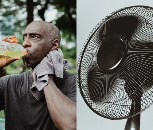 Profeco: El poderoso ventilador de bajo costo que pocos conocen, pero funciona como los mejores (Foto: Pixabay) Profeco: El poderoso ventilador de bajo costo que pocos conocen, pero funciona como los mejores (Foto: Pixabay)