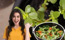 Esta agua de cocción es oro puro para tus plantas de interior
