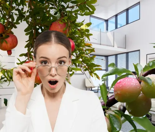 Estos tres árboles frutales lucirán bien en tu jardín y te darán deliciosos frutos (Getty Images) Estos tres árboles frutales lucirán bien en tu jardín y te darán deliciosos frutos (Getty Images)