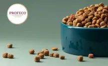 Ni Dog Chow, ni Pedigree: Esta es la mejor marca de croquetas de perro, según Profeco