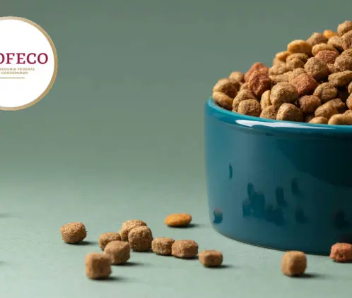Ni Dog Chow, ni Pedigree: Esta es la mejor marca de croquetas de perro, según Profeco (FreePik) Ni Dog Chow, ni Pedigree: Esta es la mejor marca de croquetas de perro, según Profeco (FreePik)