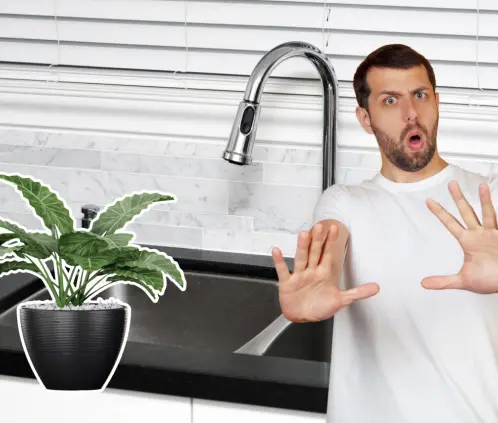 Toma nota de estos residuos que ayudarán a tus plantas a tener mejor aspecto y hojas sanas. (Getty Images) Toma nota de estos residuos que ayudarán a tus plantas a tener mejor aspecto y hojas sanas. (Getty Images)