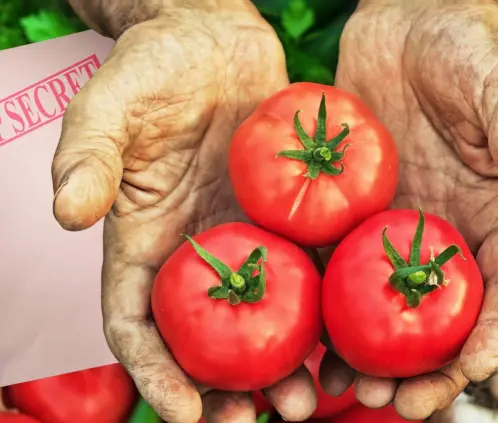 Estos secretos te permitirá tener huertos saludables (Getty Images) Estos secretos te permitirá tener huertos saludables (Getty Images)