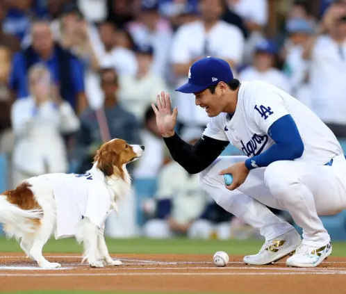 Decoy se convirtió en la musa para que Othani anotara un home run literario (Getty Images)