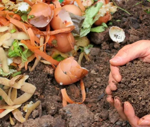 El compost es una gran ayuda para los jardines (Getty Images)