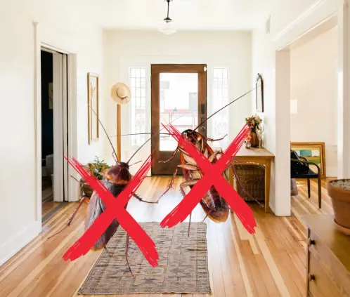 Estas plantas mantendrán a las cucarachas a raya y llenarán de vida y buen olor tu hogar (Getty Images) Estas plantas mantendrán a las cucarachas a raya y llenarán de vida y buen olor tu hogar (Getty Images)