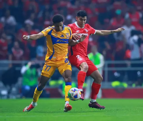 Diablos y Felinos se midieron en las semifinales del Clausura 2025 (Getty images)