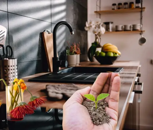 Con este ingrediente, las plantas moribundas reciben una segunda oportunidad (Getty Images)