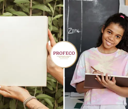Ni Scribe, ni Norma: Esta marca de cuadernos es mucho mejor y más barata y Profeco la recomienda (Foto: Pexels) Ni Scribe, ni Norma: Esta marca de cuadernos es mucho mejor y más barata y Profeco la recomienda (Foto: Pexels)