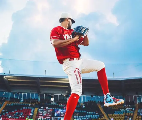 Liga Mexicana de Béisbol
