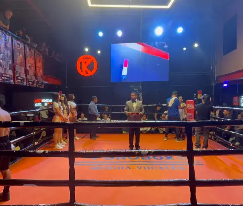 Yucatán vivirá una velada de box profesional. Rosarito Boxing Yucatán vivirá una velada de box profesional. Rosarito Boxing