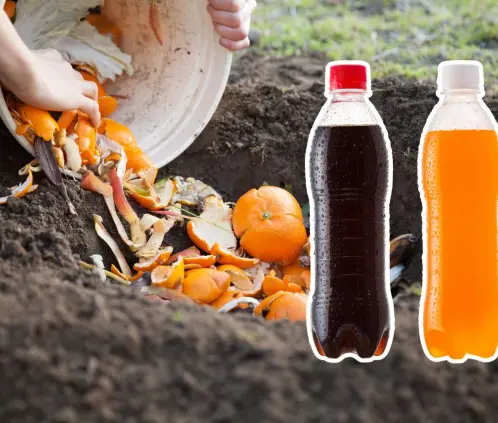 Haz compost en botella y crea abono natural desde casa sin jardín. Un método exprés, ecológico y perfecto para principiantes (Getty Images)