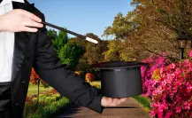 ¿Macetas pequeñas y plantas tristes? Prueba este abono casero y verás cómo reviven como por arte de magia