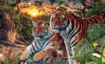 Acertijo visual: Solo los detallistas pueden ver a todos los tigres de la imagen