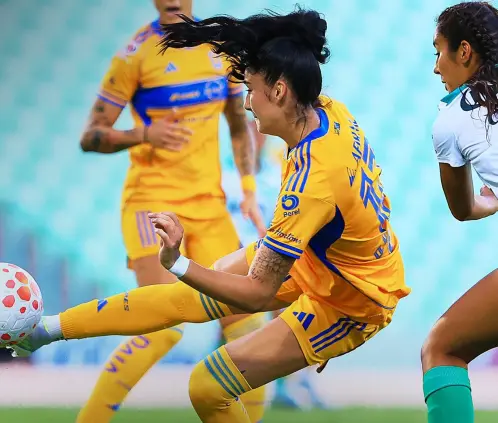 Tigres Femenil