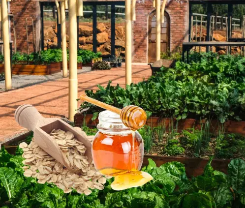 Fortalece raíces en macetas pequeñas con un fertilizante natural de avena y miel. Nutre tu jardín de forma económica y sostenible. Fortalece raíces en macetas pequeñas con un fertilizante natural de avena y miel. Nutre tu jardín de forma económica y sostenible.