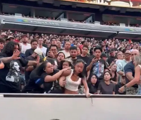 Un grupo de aficionados terminaron peleando en las gradas del MetLife Stadium en pleno SummerSlam. @WrestleOps