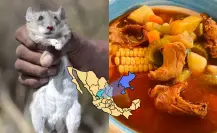 ¿Caldo de rata? Conoce uno de los platillos más exóticos de Zacatecas, México