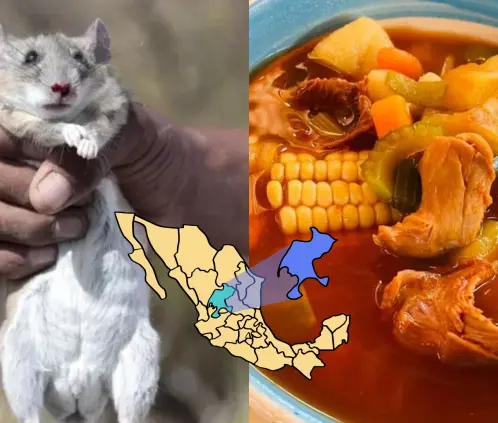 Caldo de Rata. Zacatecas, México. Imágenes Ilustrativas. Canva Images. Caldo de Rata. Zacatecas, México. Imágenes Ilustrativas. Canva Images.