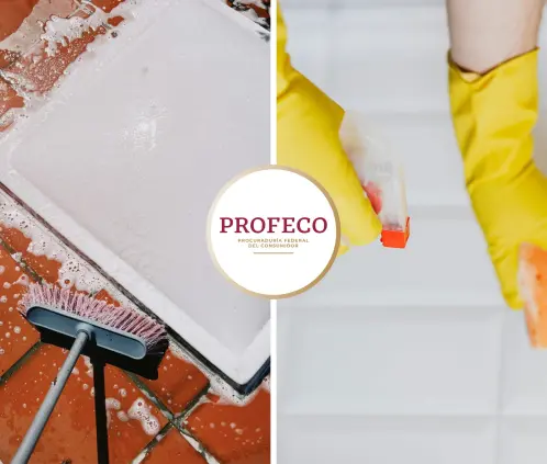 Profeco: Este limpiador para pisos dura un año y solo cuesta 34 pesos (Foto: Pexels) Profeco: Este limpiador para pisos dura un año y solo cuesta 34 pesos (Foto: Pexels)