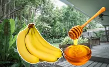 Banana con miel: el fertilizante casero que estimula la floración de plantas de ornato