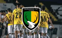 Venados de Yucatán, el equipo del sueño eterno para llegar a la Liga MX