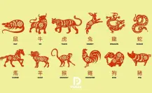 Los 12 animales del Horóscopo Chino y su significado, ¿cuál te toca a ti?