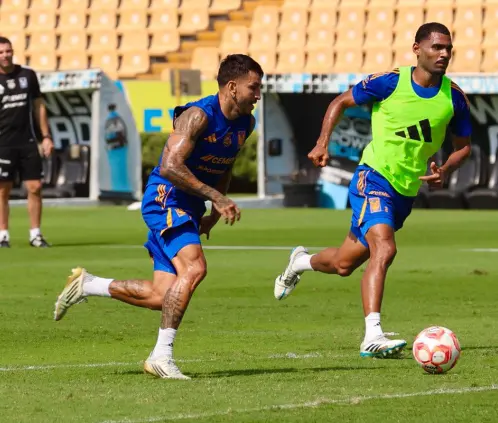 Club Tigres Oficial Club Tigres Oficial
