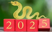 Este 2025 es de la Serpiente según el Horóscopo Chino, ¿qué les depara el futuro?