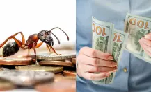 5 gastos hormiga que están matando tu ahorro y cómo eliminarlos